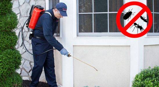 Doğanlar Fare İlaçlama böcek ilaçlama ve haşere kontrolü — ilaclama-tr.com